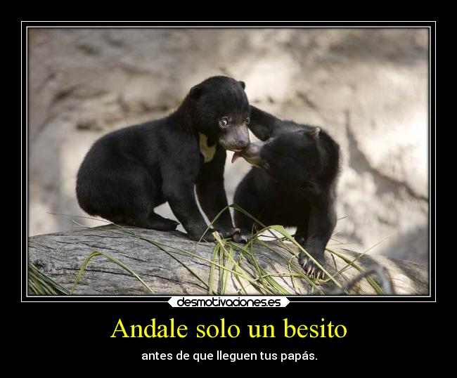 carteles humor desmotivaciones