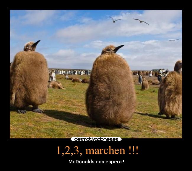 1,2,3, marchen !!! -