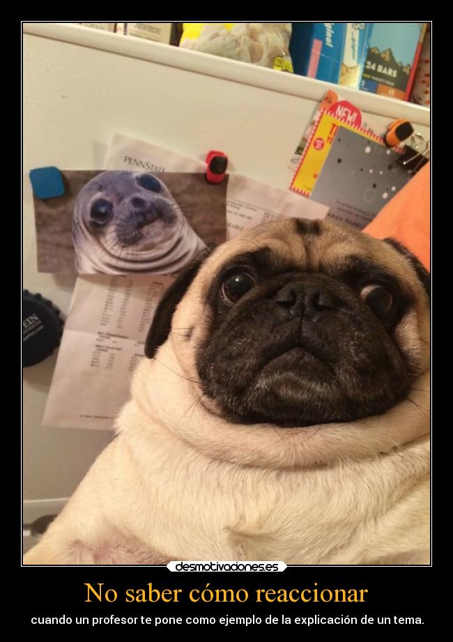 No saber cómo reaccionar -