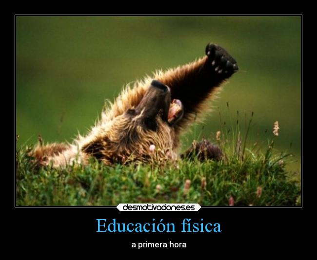 Educación física - a primera hora