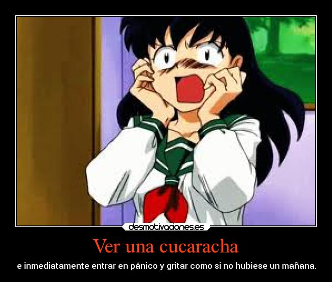 carteles humor graciosas ayuda anime animales cucarachas inuyasha aome beluu42 desmotivaciones