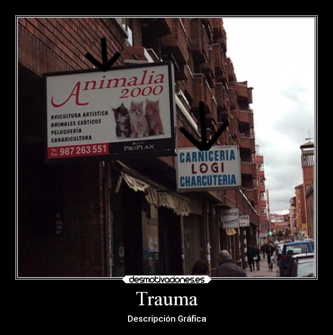 Trauma - Descripción Gráfica