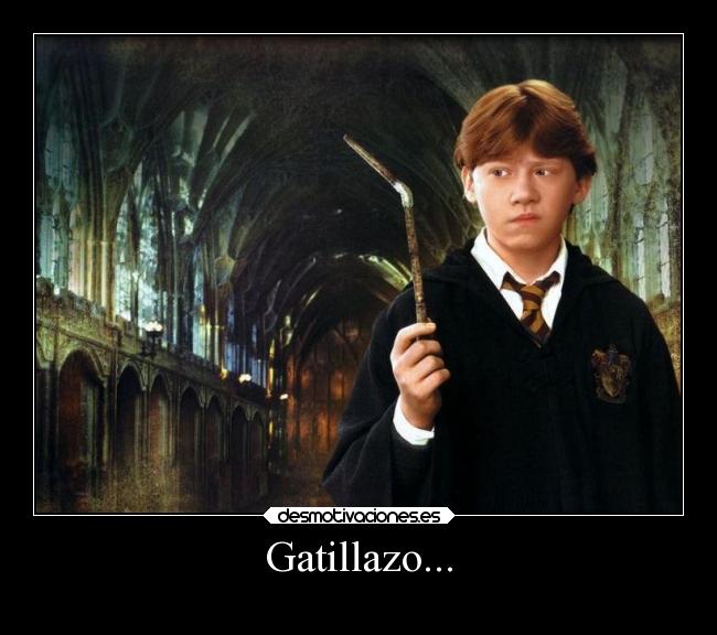 carteles humor ronweasley varita harrypotter elpatodelapiovendehierba desmotivaciones