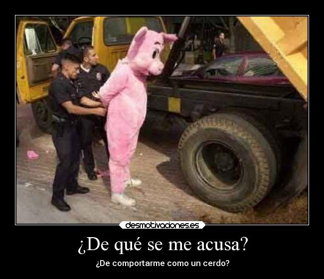 ¿De qué se me acusa? - 