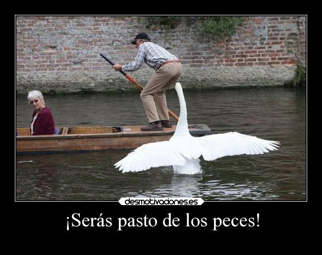 ¡Serás pasto de los peces! - 