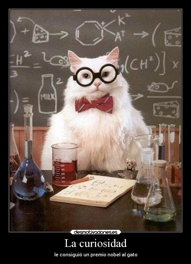 La curiosidad - 