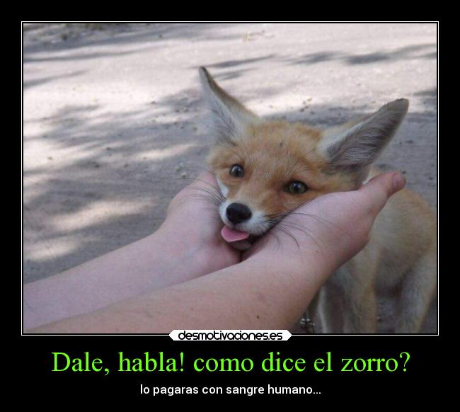 carteles humor zorrito animalito venganza desmotivaciones