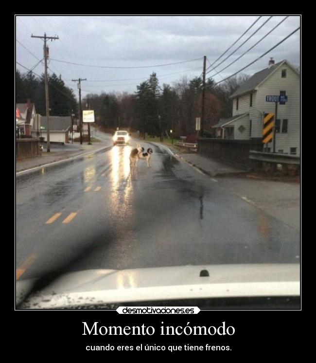 carteles ideas frenos sex car carretera coche chochet holy craps desmotivaciones