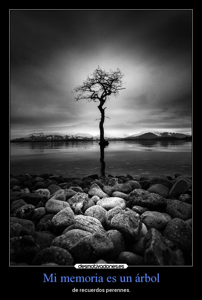Mi memoria es un árbol -