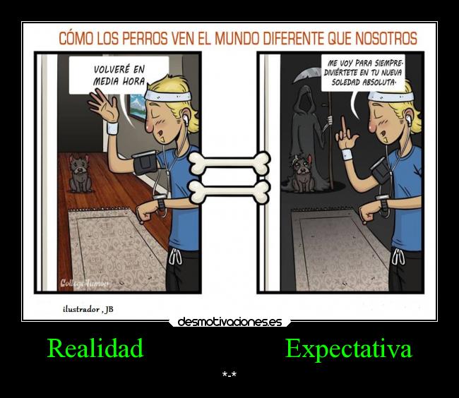 Realidad Expectativa - *-*