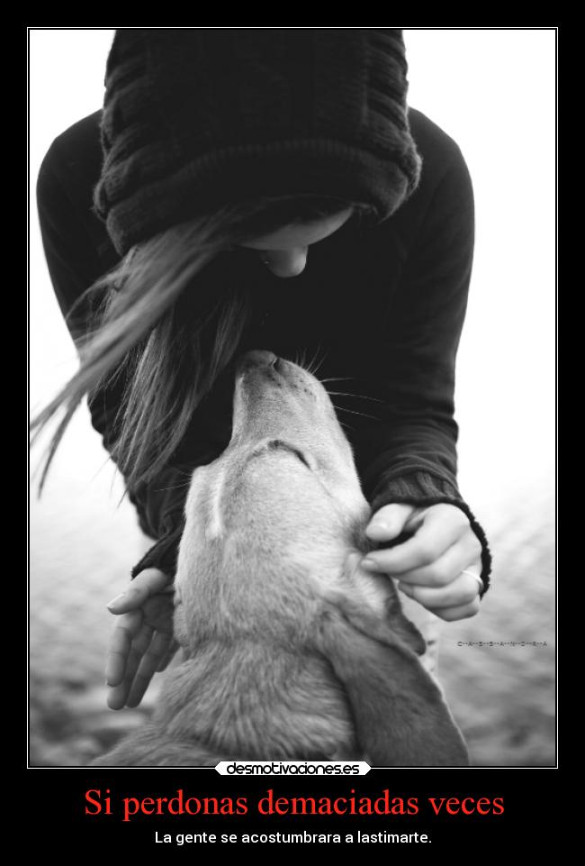 Si perdonas demaciadas veces - La gente se acostumbrara a lastimarte.