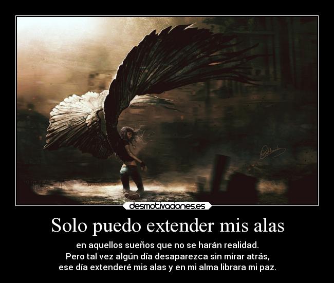 carteles libertad corazon alma alas volar suenos paz luzkira sinmiraratras desaparecer desmotivaciones