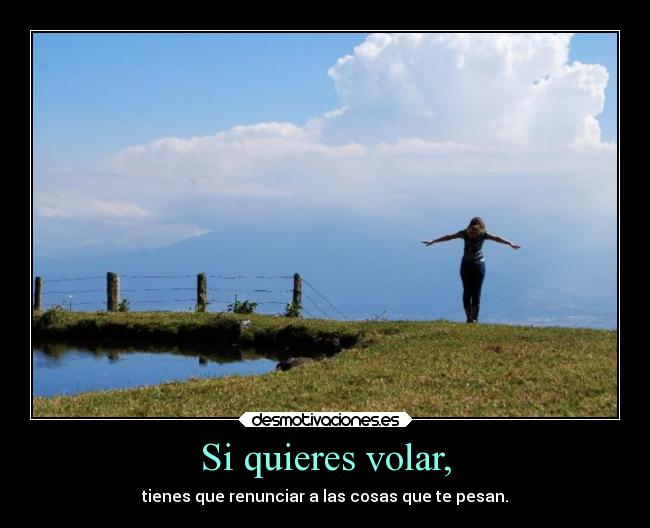 carteles libertad desmotivaciones