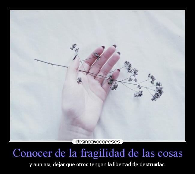 carteles libertad sociedad cosas destruccion fragilidad desmotivaciones