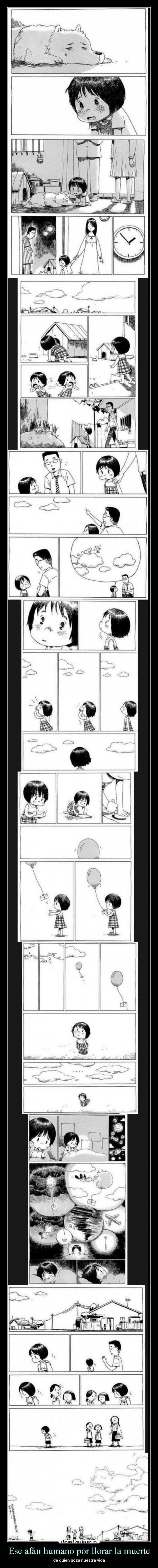 Ese afán humano por llorar la muerte - de quien goza nuestra vida