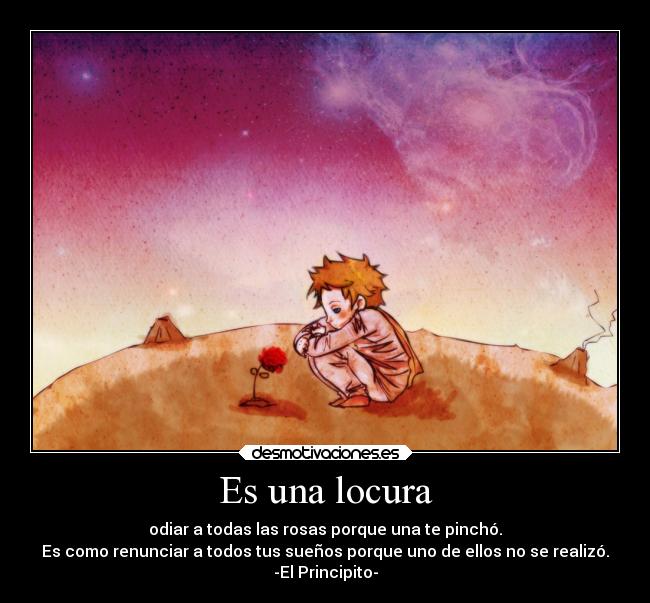 Es una locura - odiar a todas las rosas porque una te pinchó.
Es como renunciar a todos tus sueños porque uno de ellos no se realizó.
-El Principito-