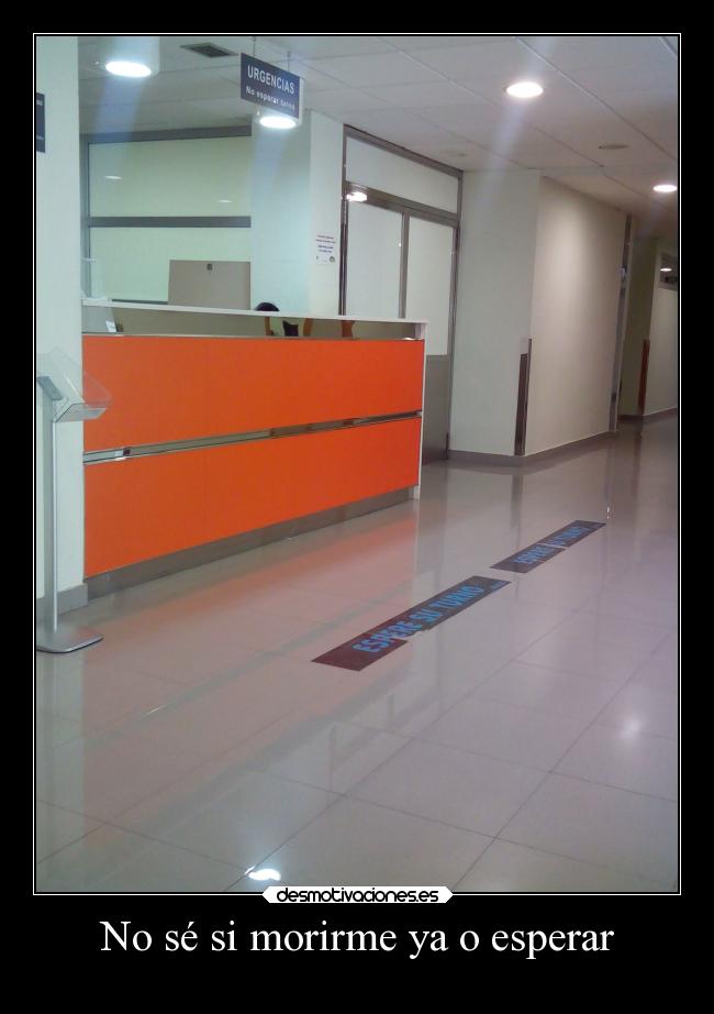 No sé si morirme ya o esperar - 