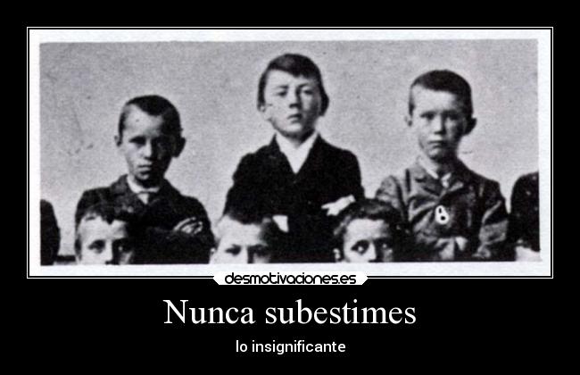 carteles locura miedo hitler desmotivaciones