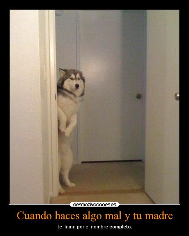 carteles madre animales amor woow monisimo mama desmotivaciones