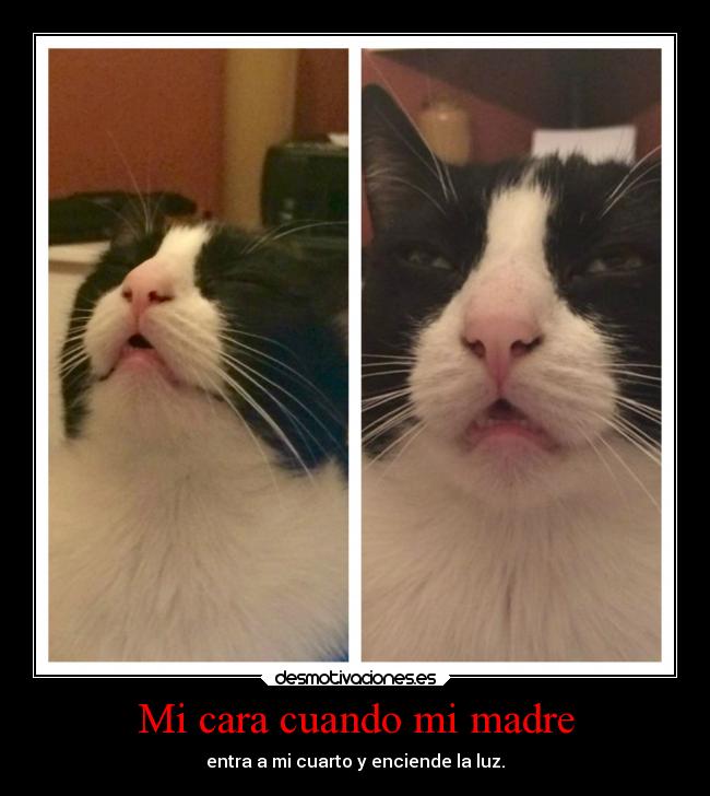 Mi cara cuando mi madre - 
