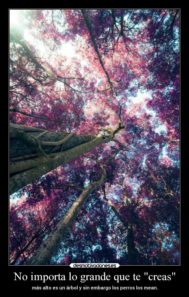 No importa lo grande que te creas -