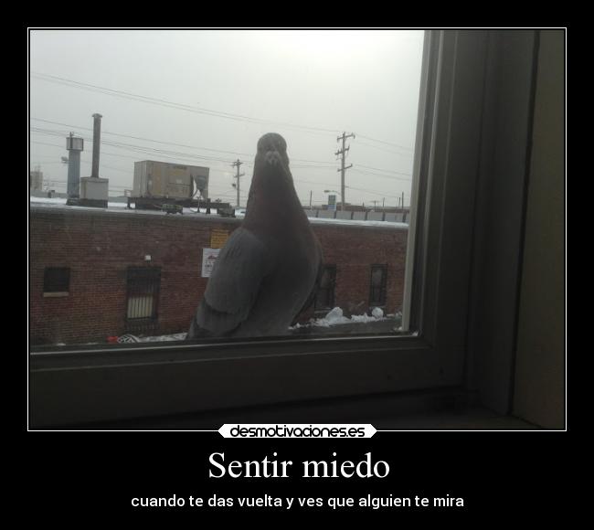 carteles miedo vida imaginacion miedo animales paloma desmotivaciones