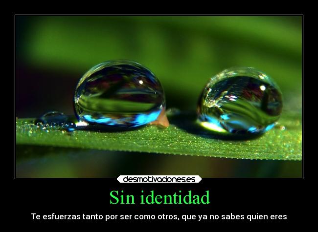 Sin identidad - 