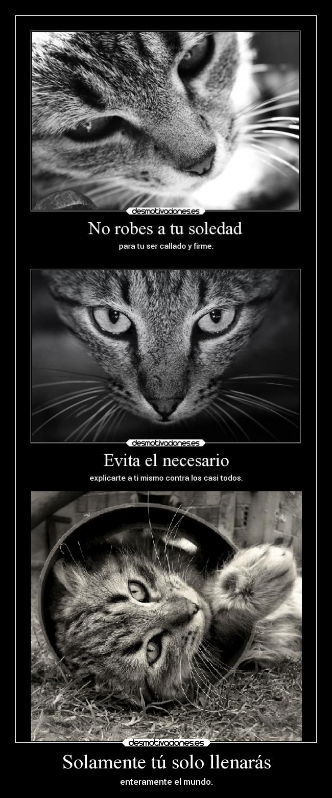 Solamente tú solo llenarás - 