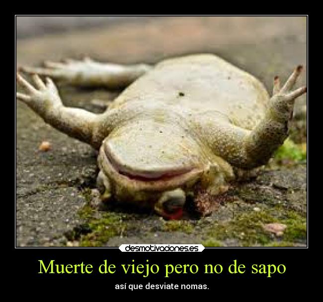 Muerte de viejo pero no de sapo - 