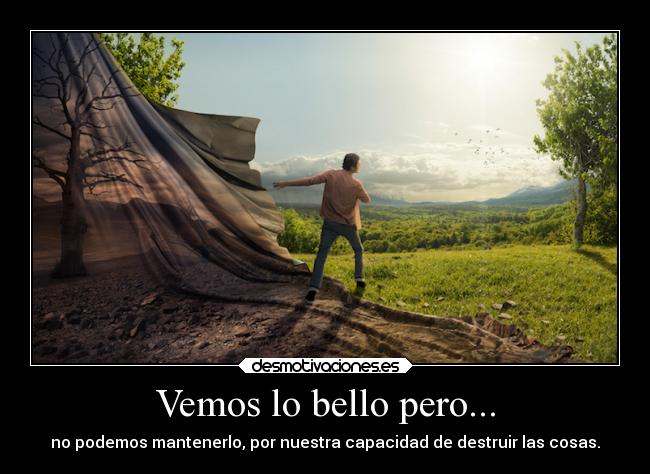 Vemos lo bello pero... -