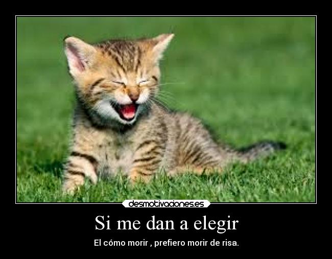 Si me dan a elegir - El cómo morir , prefiero morir de risa.