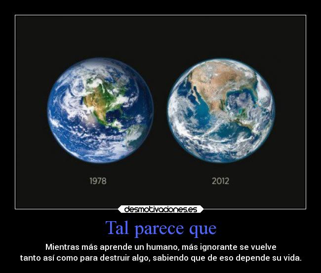 Tal parece que - Mientras más aprende un humano, más ignorante se vuelve
tanto así como para destruir algo, sabiendo que de eso depende su vida.