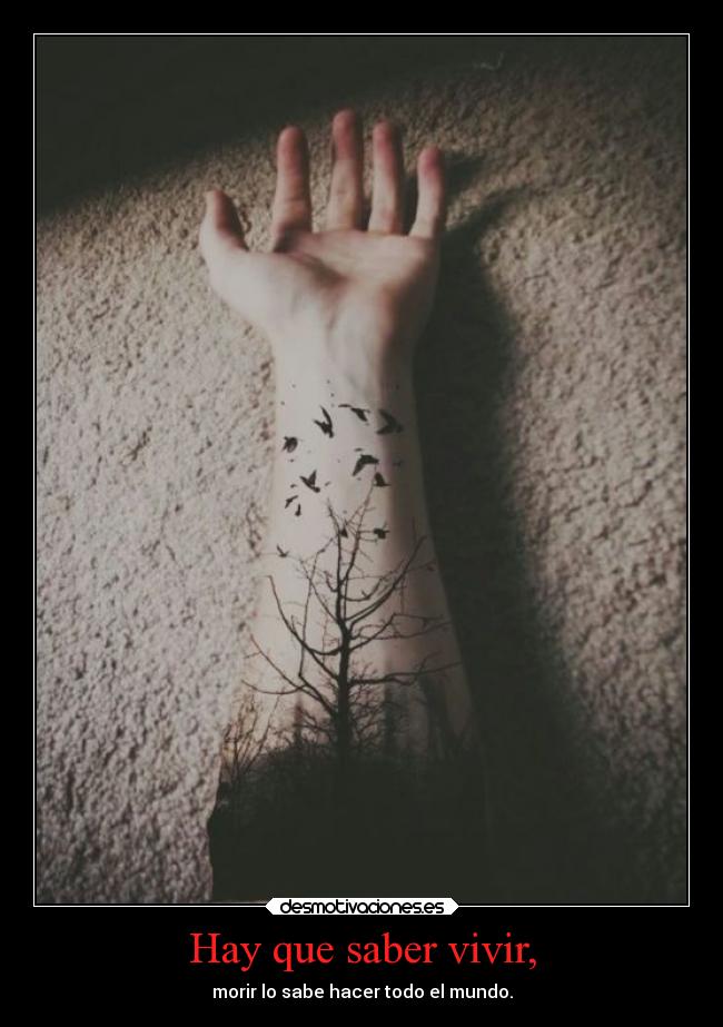 Hay que saber vivir, - 