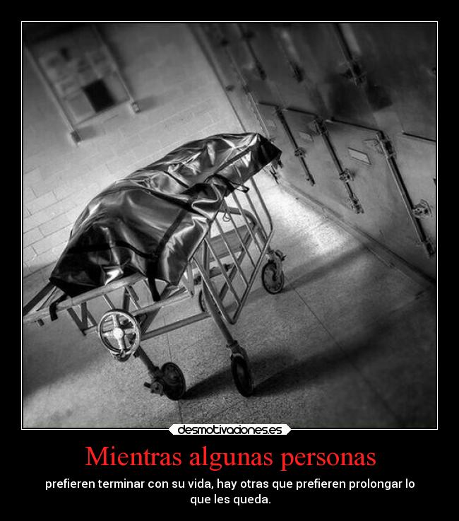 carteles muerte vida suicidio terminal enfermedades desmotivaciones