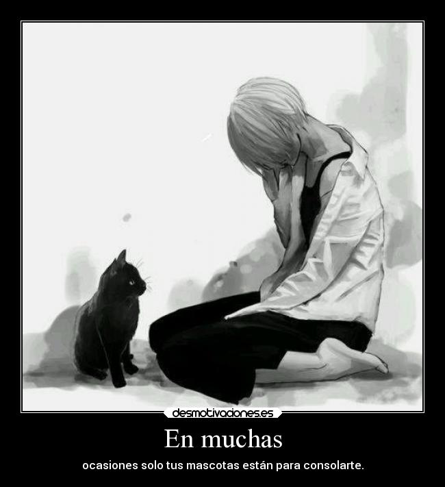 En muchas - 