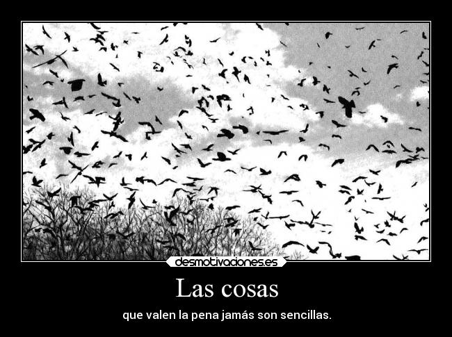 Las cosas - 