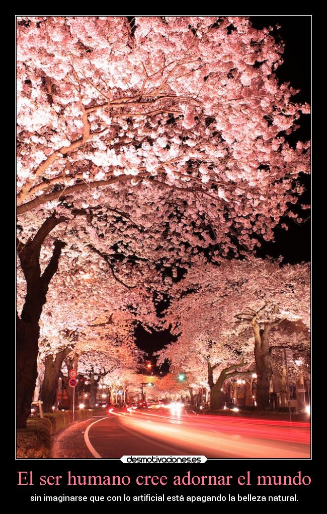 carteles mundo mundo desmotivaciones