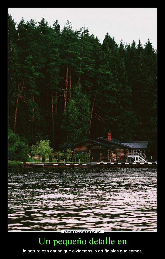 Un pequeño detalle en - la naturaleza causa que olvidemos lo artificiales que somos.