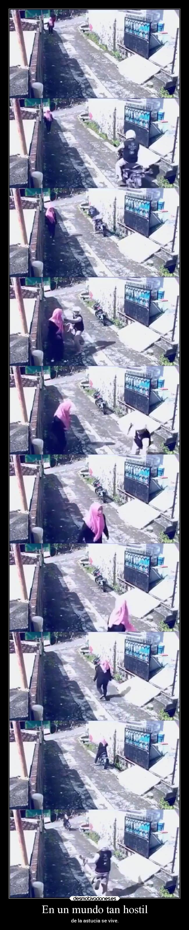 En un mundo tan hostil - de la astucia se vive.