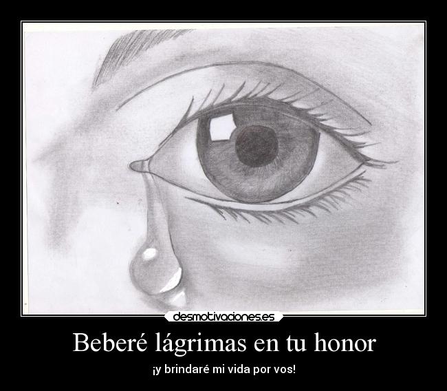 Beberé lágrimas en tu honor -