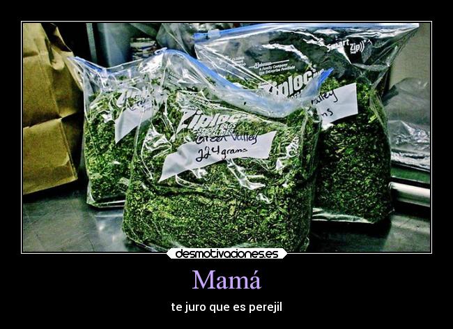 Mamá - te juro que es perejil