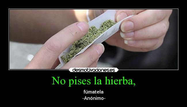 No pises la hierba, - fúmatela
-Anónimo-