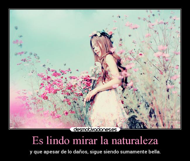 Es lindo mirar la naturaleza - 