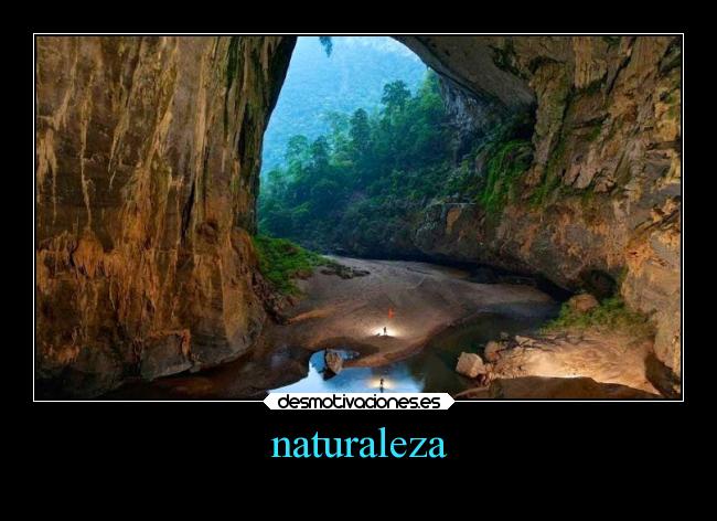 carteles naturaleza confianza desmotivaciones