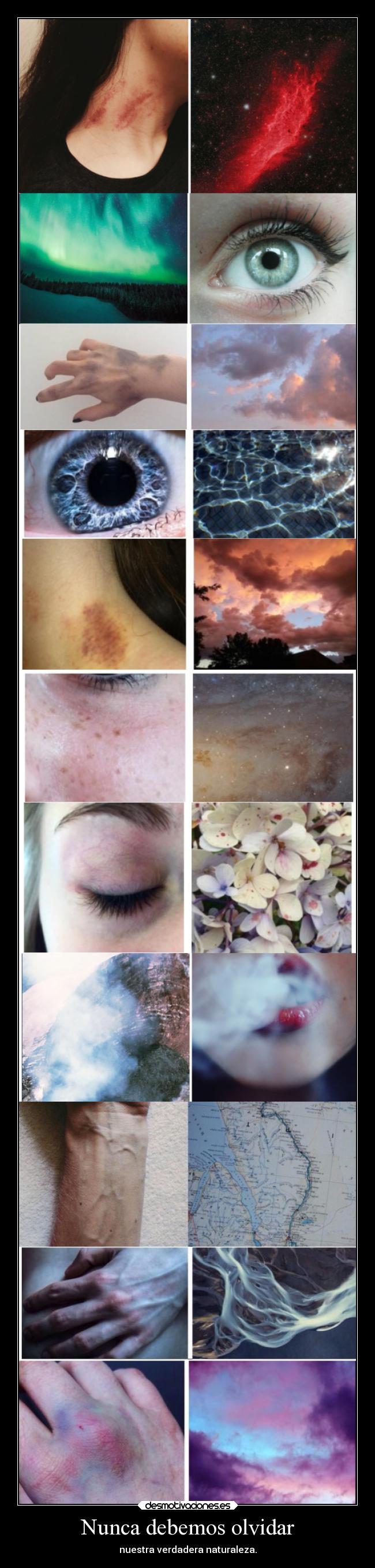 Nunca debemos olvidar - nuestra verdadera naturaleza.