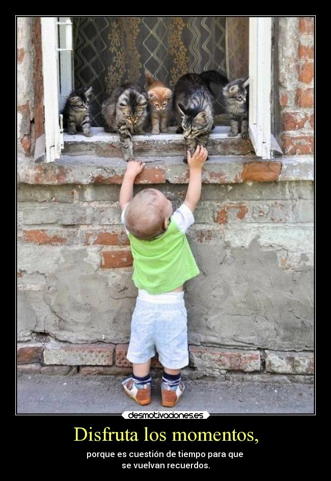 Disfruta los momentos, -