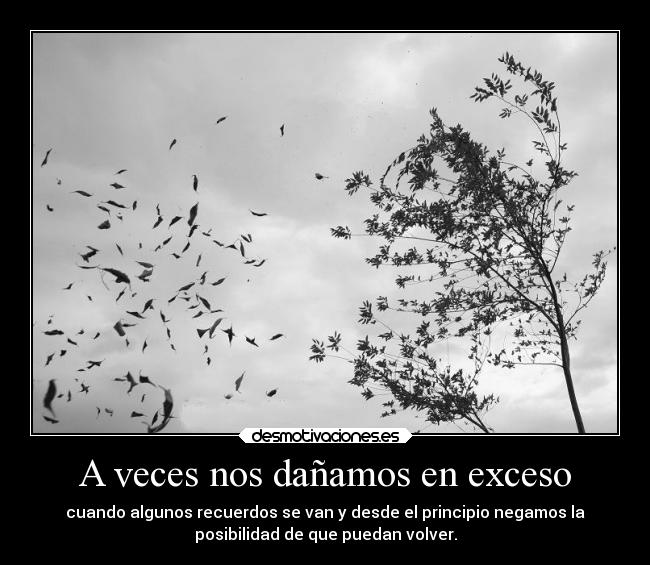 A veces nos dañamos en exceso - cuando algunos recuerdos se van y desde el principio negamos la
posibilidad de que puedan volver.