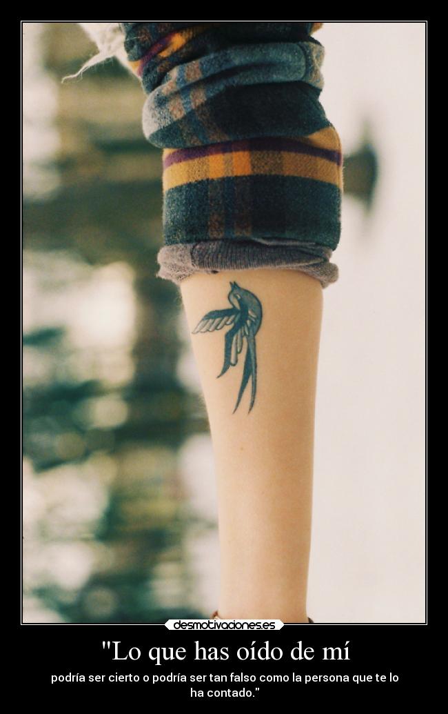 Lo que has oído de mí - 