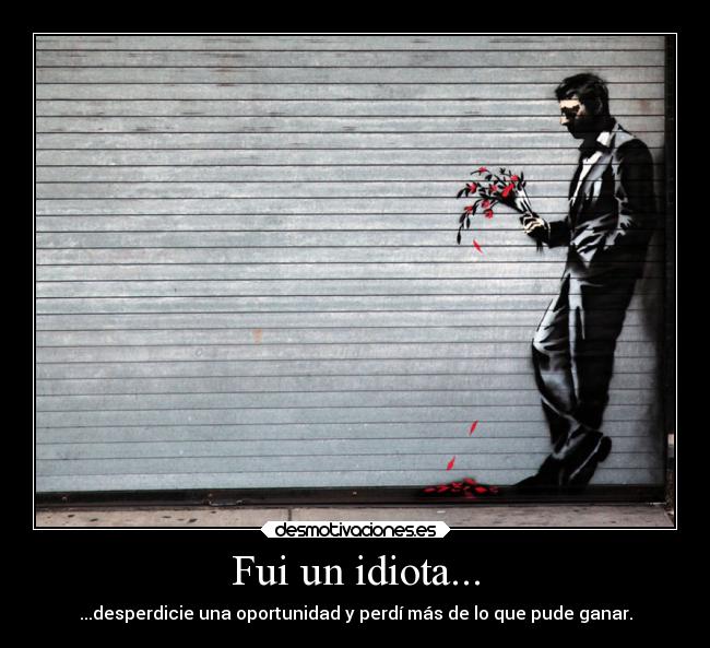 Fui un idiota... - 