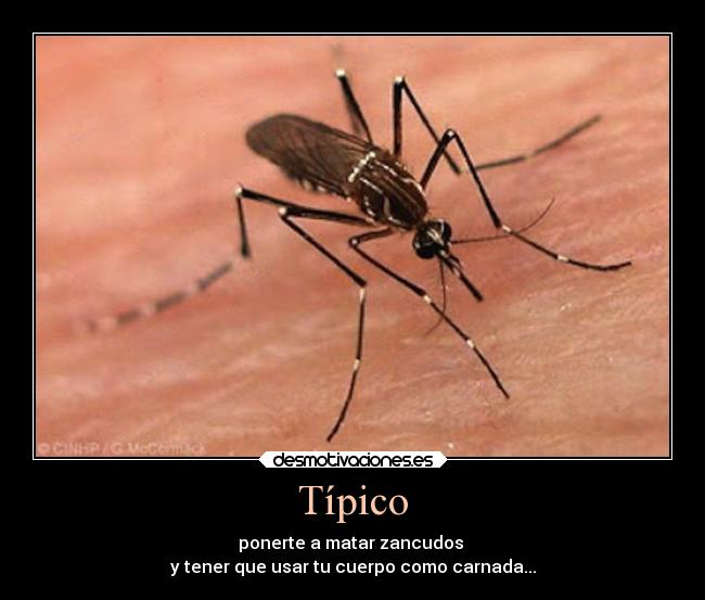 Típico -
